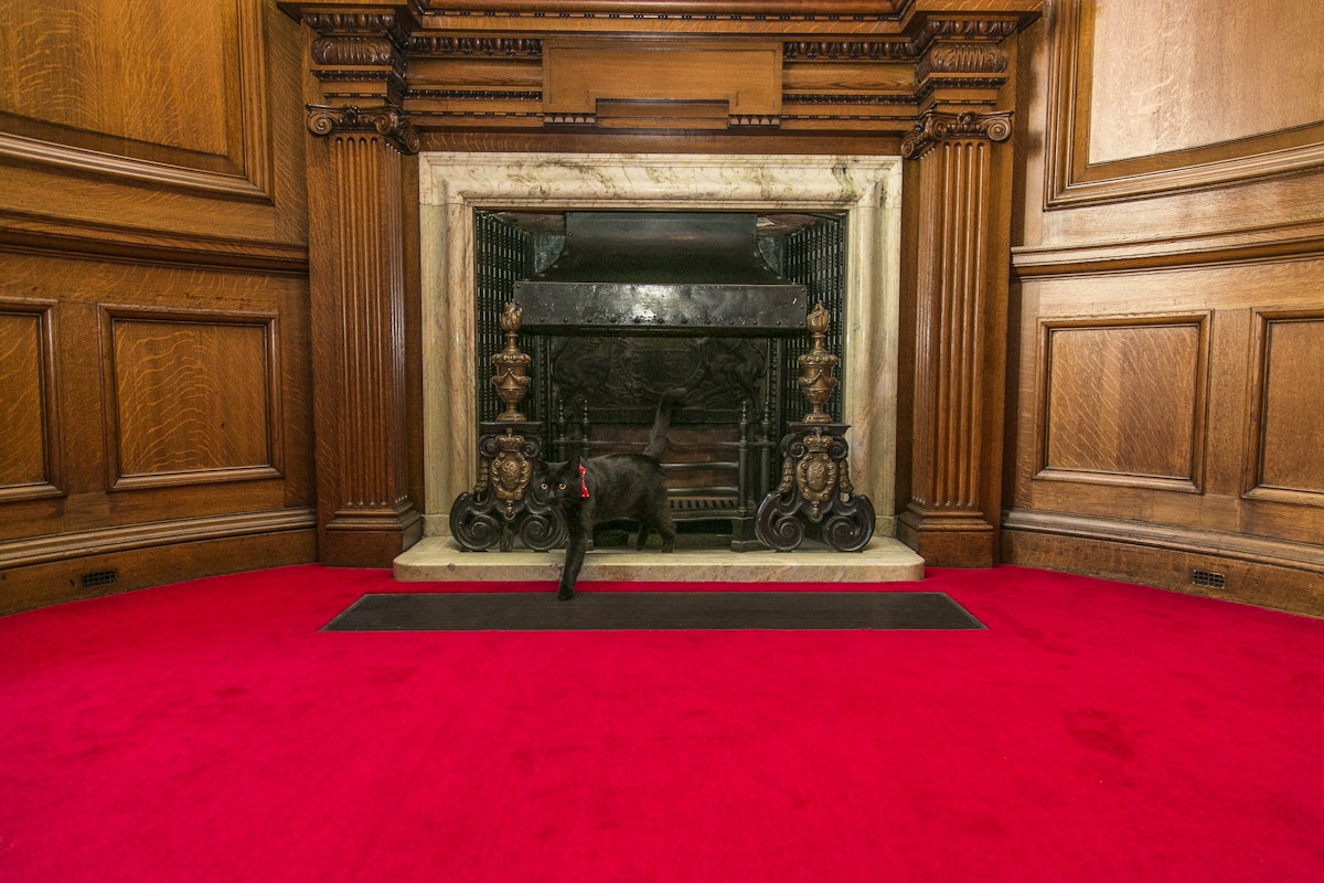 The Treasury Building A Surprising History Shorthand Social The Treasury Building A Surprising History Shorthand Social