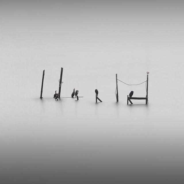 A guide to Shorthand Social — Shorthand Social