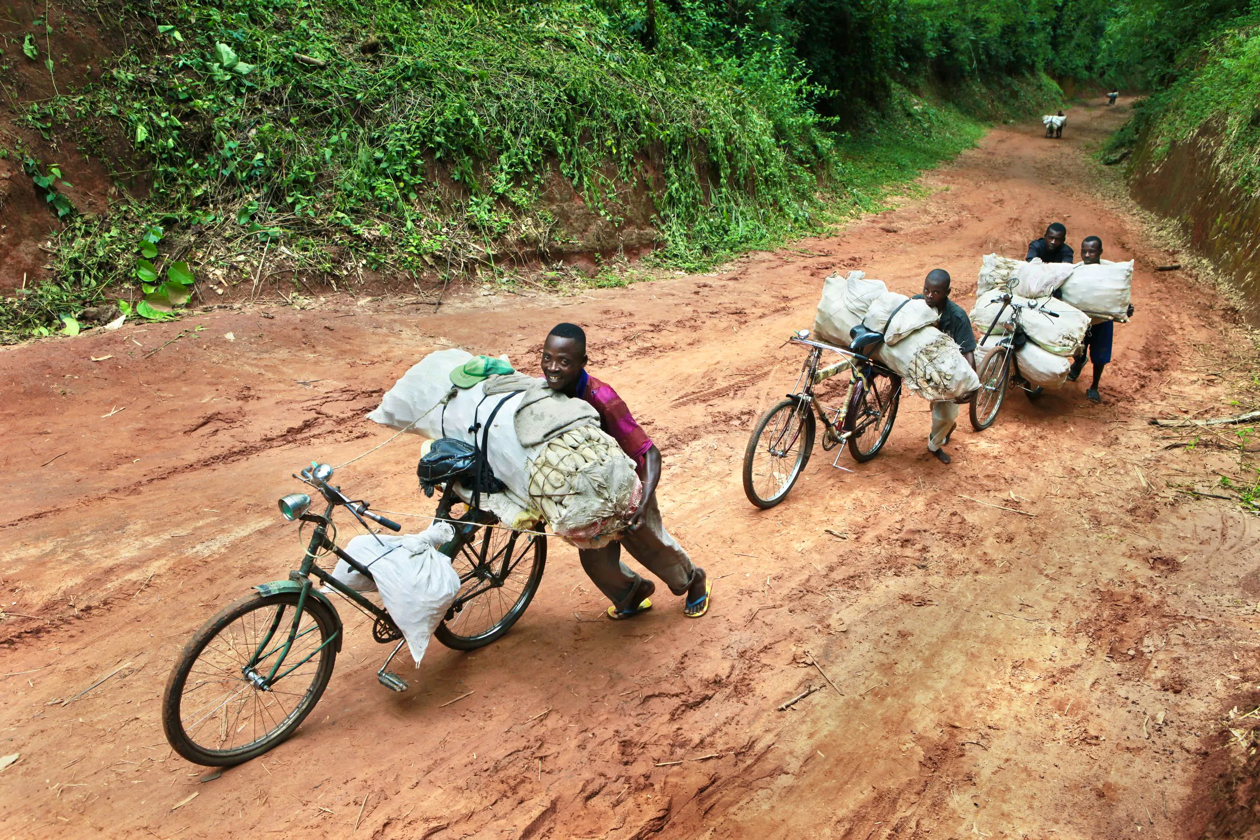IMPROVING ACCESS TO RURAL AREAS: A TOOL FOR DEVELOPMENT — Shorthand Social