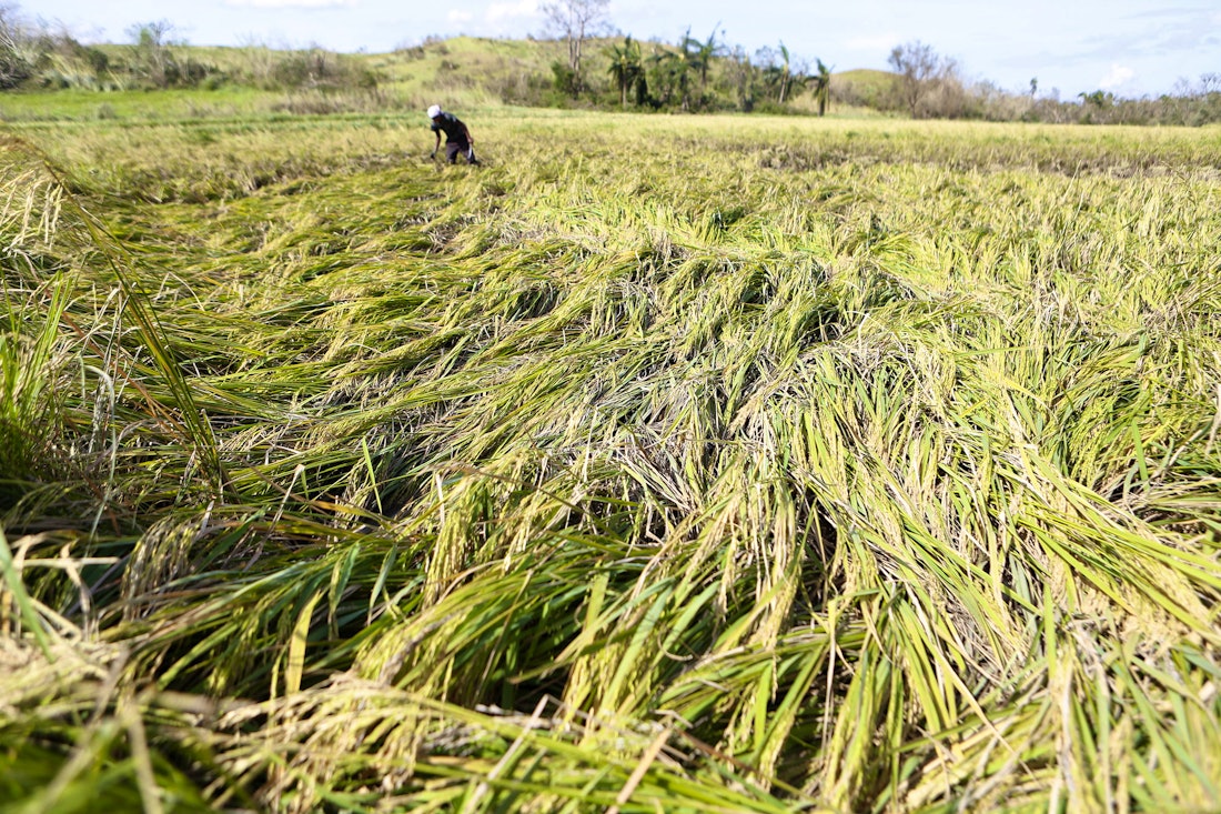 pic Typhoon In Farm surviving typhoon haima shorthand social