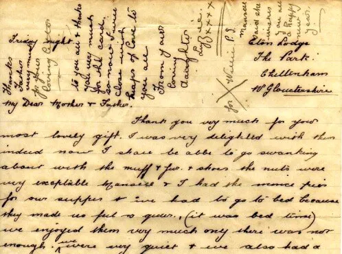 The Willis Tree — Shorthand Social