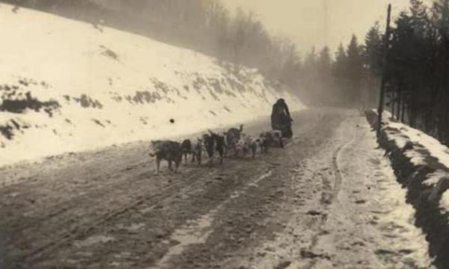 La Haute Somme sous la neige : des flocons de joie pour les petits