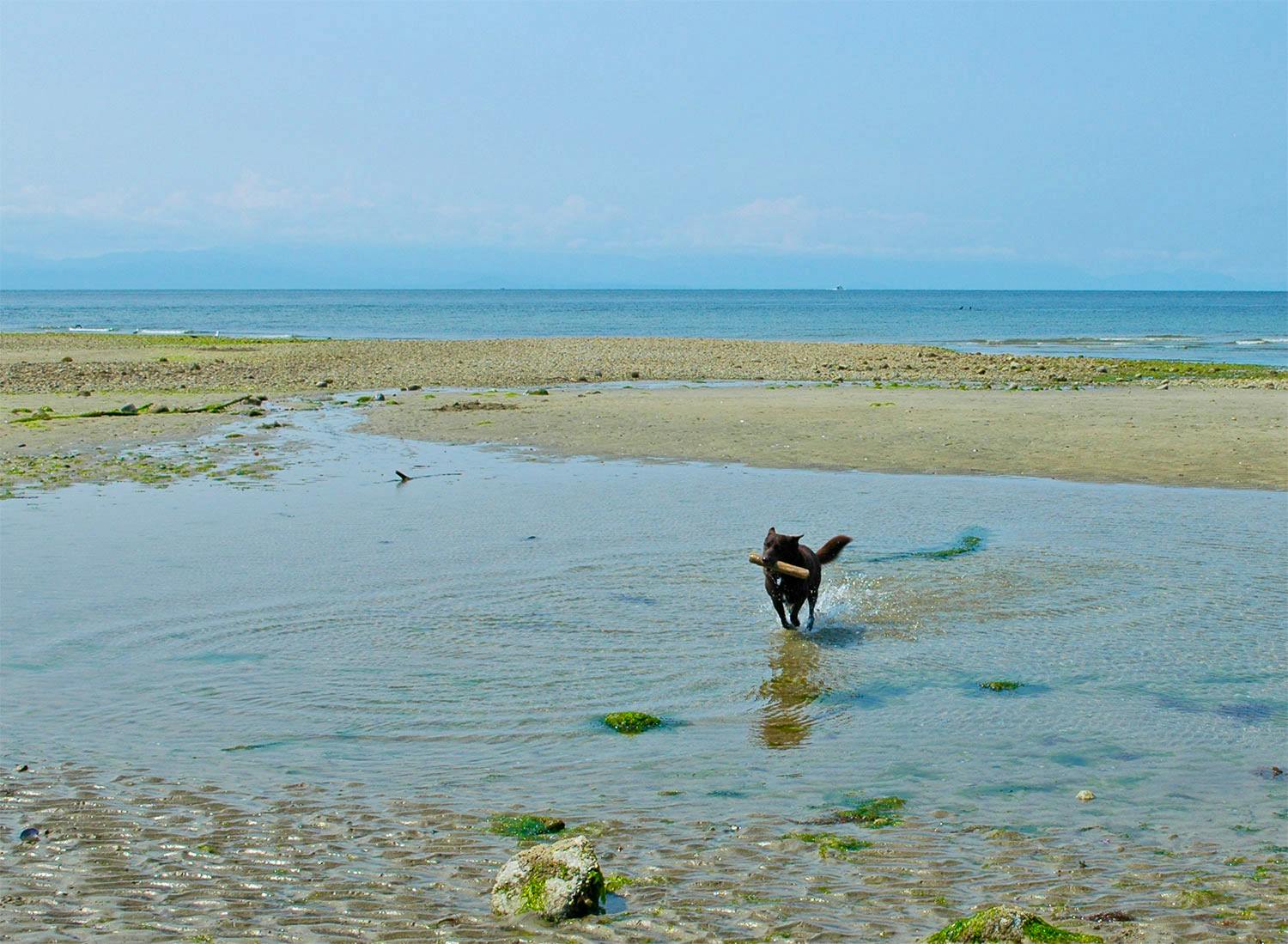 Fall festivals and other things to do in Colorado this weekend, image size:1100x806