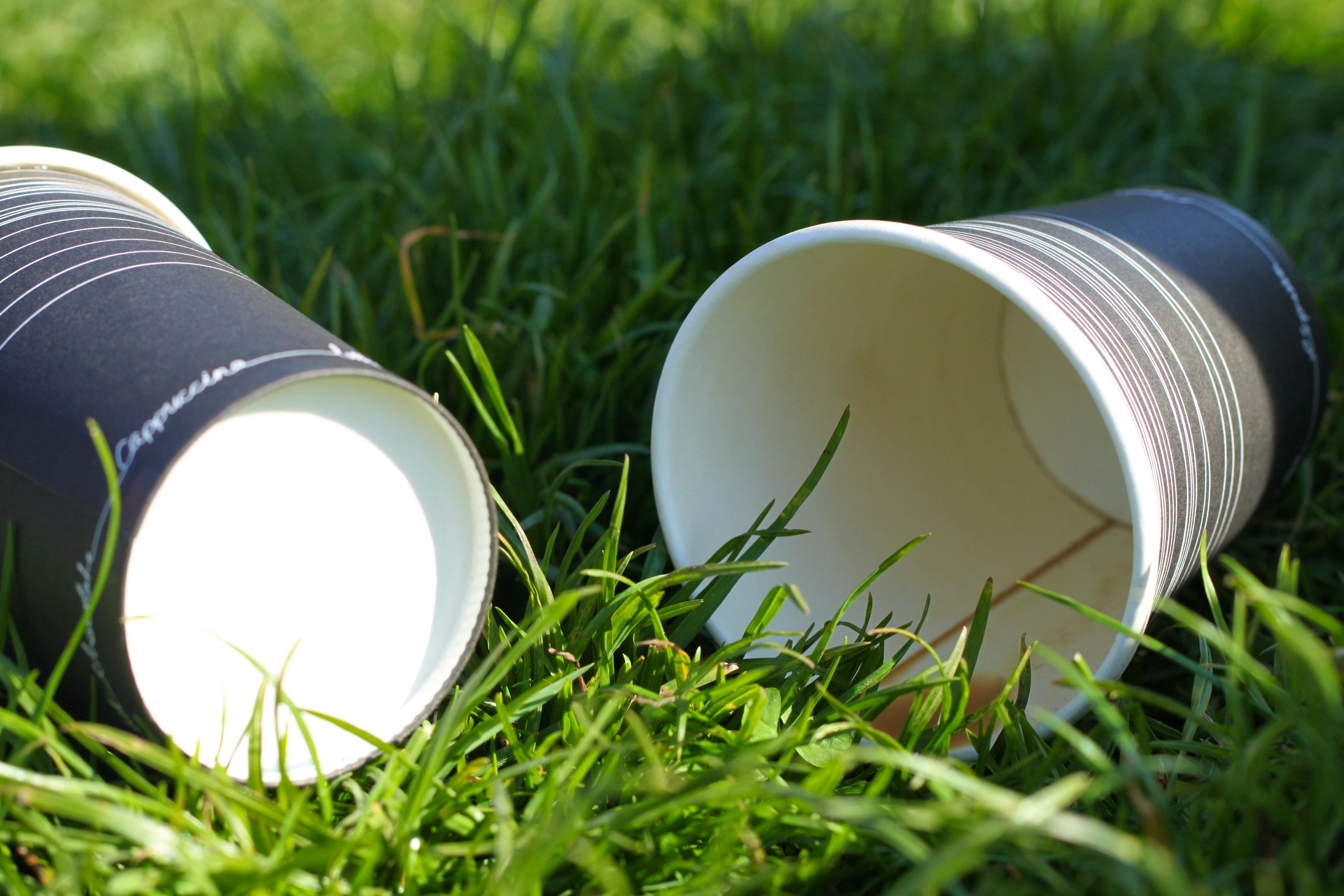 The Government should introduce a 25p latte levy on disposable coffee