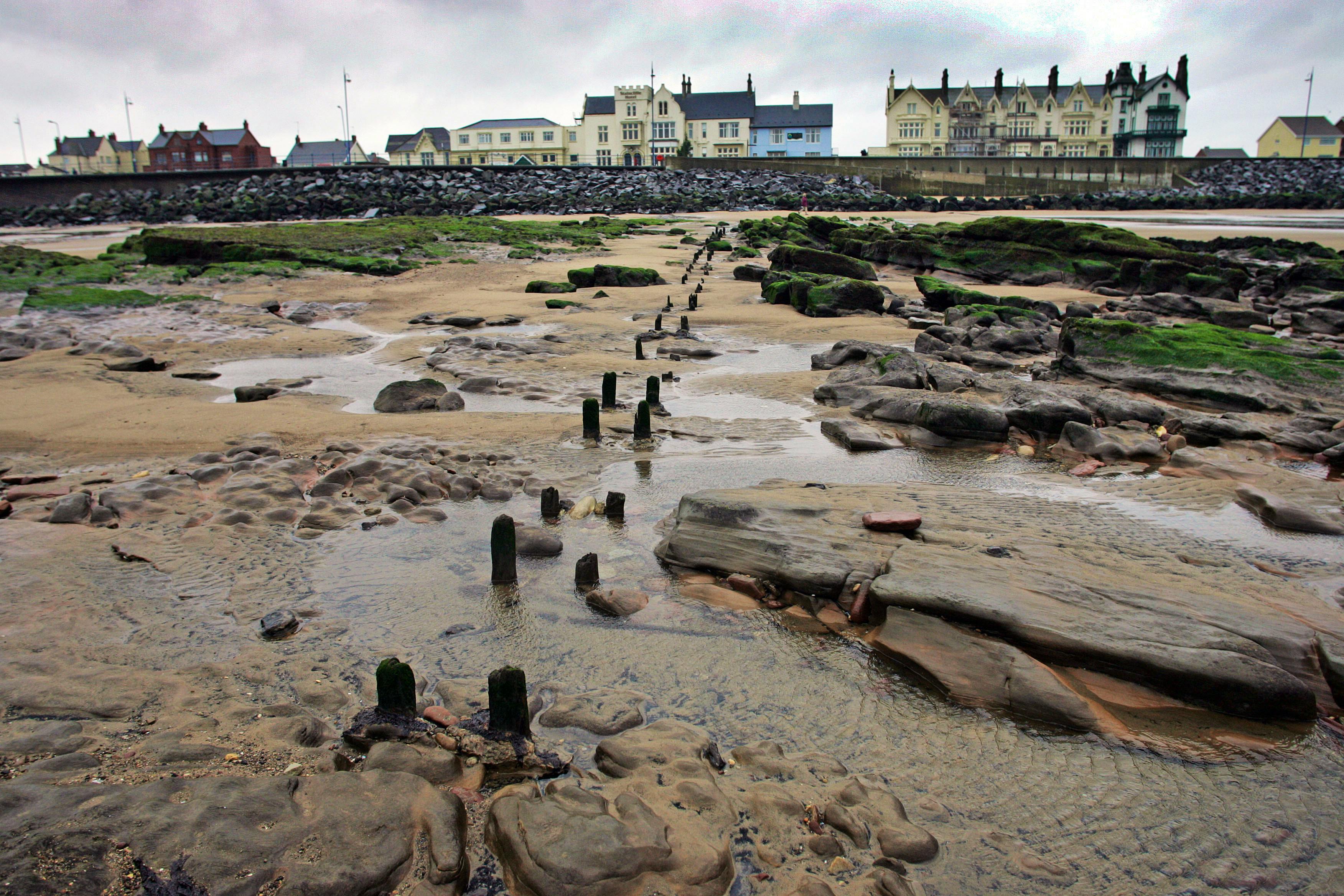 John "canoe man" Darwin The full story — Shorthand Social