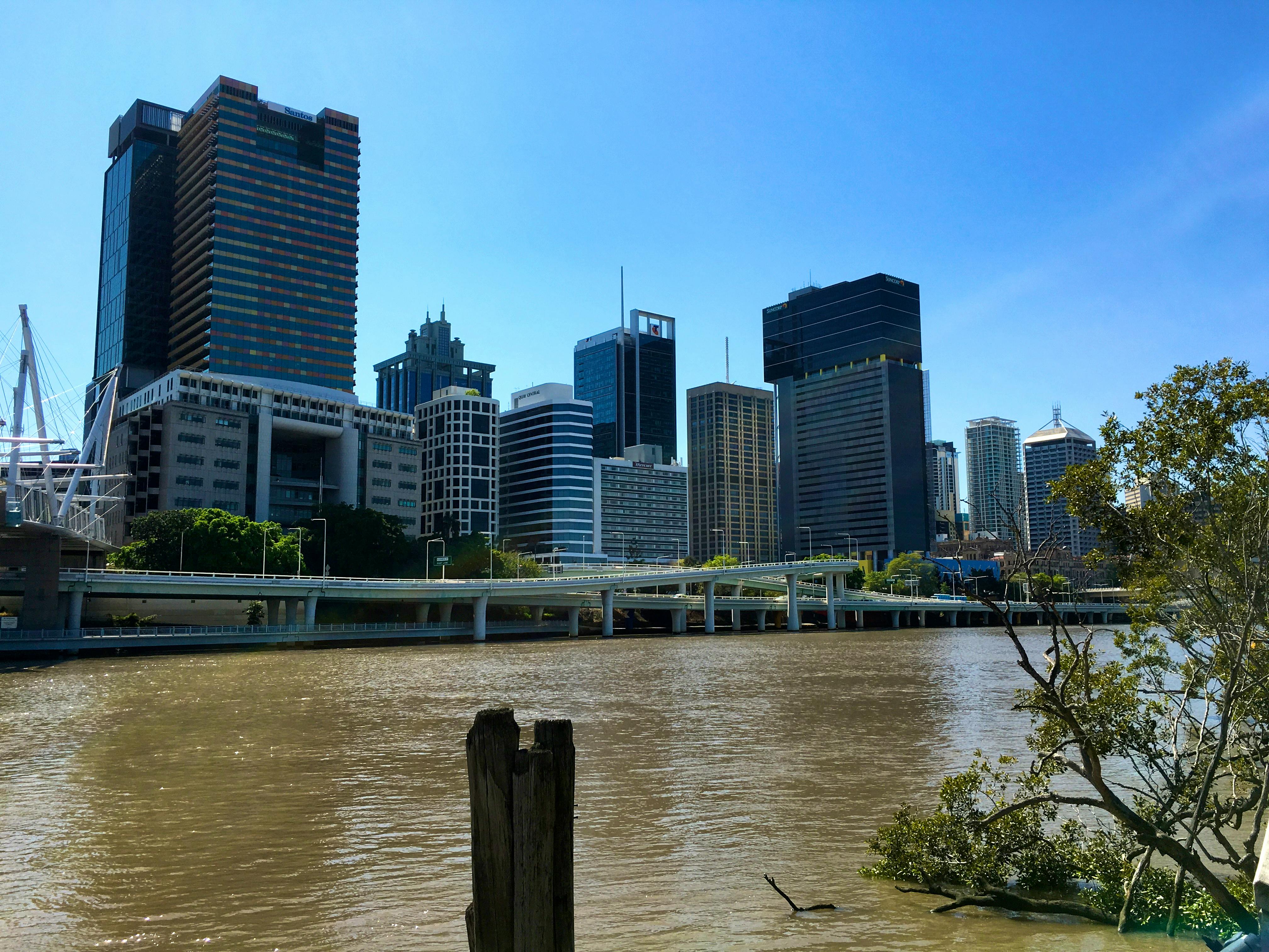 The Fight To Get Pets Into Queensland Apartments Continues So Why Are Bos Corporate Continuing To Resist Against Pet Loving Apartment Dwellers Forcing Them Resort The Lengthy And Costly Adjudication