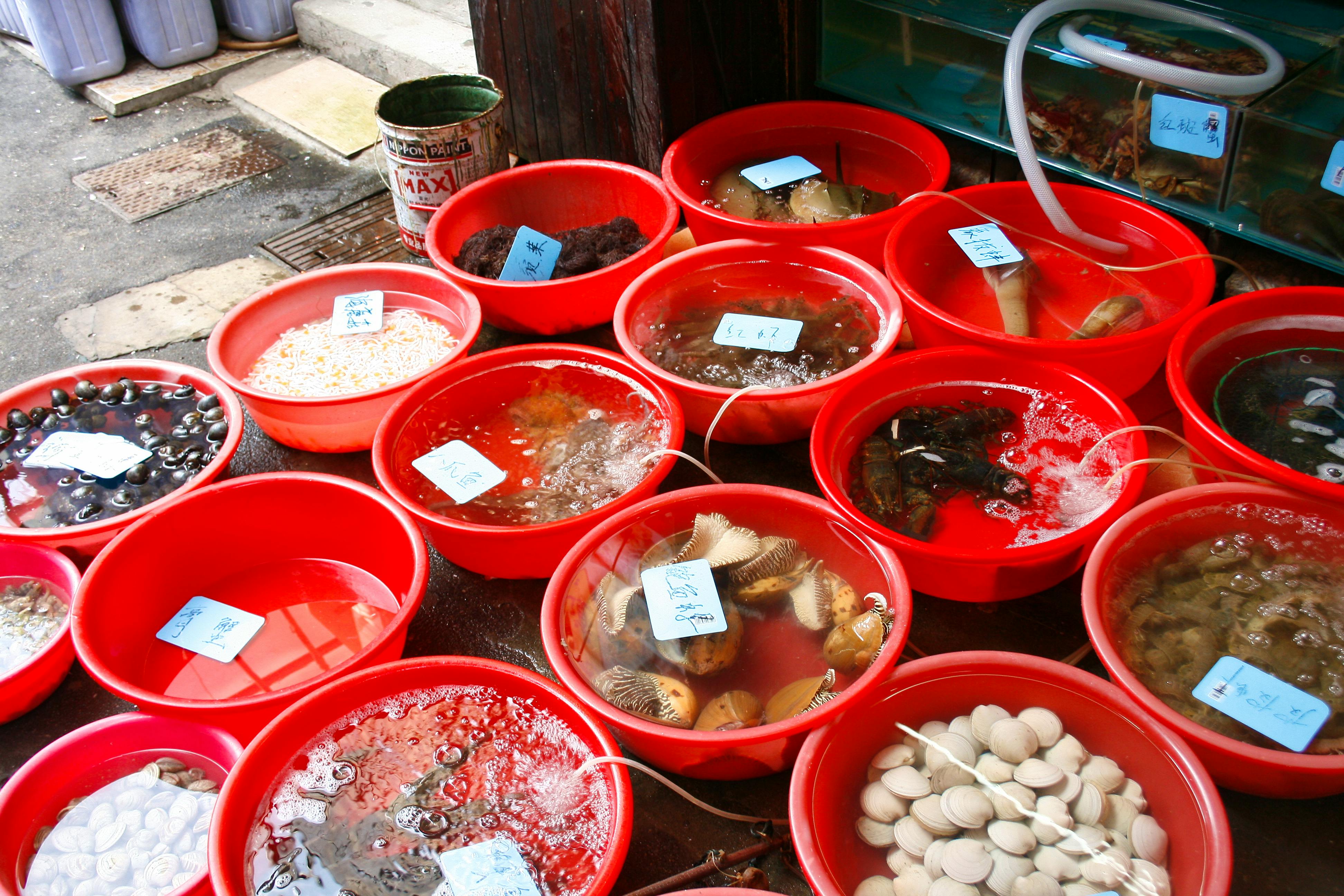 Gulangyu — Shorthand Social