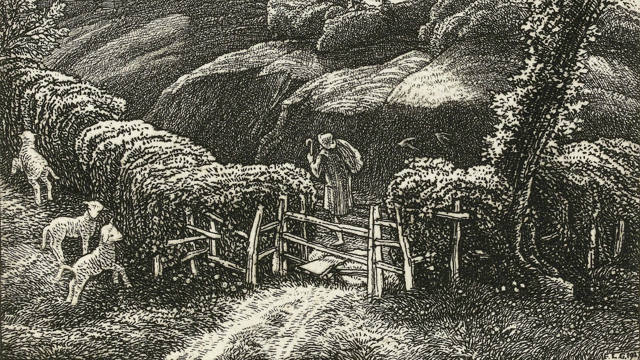 The Naturalist's Journal: Here's to the sodden and