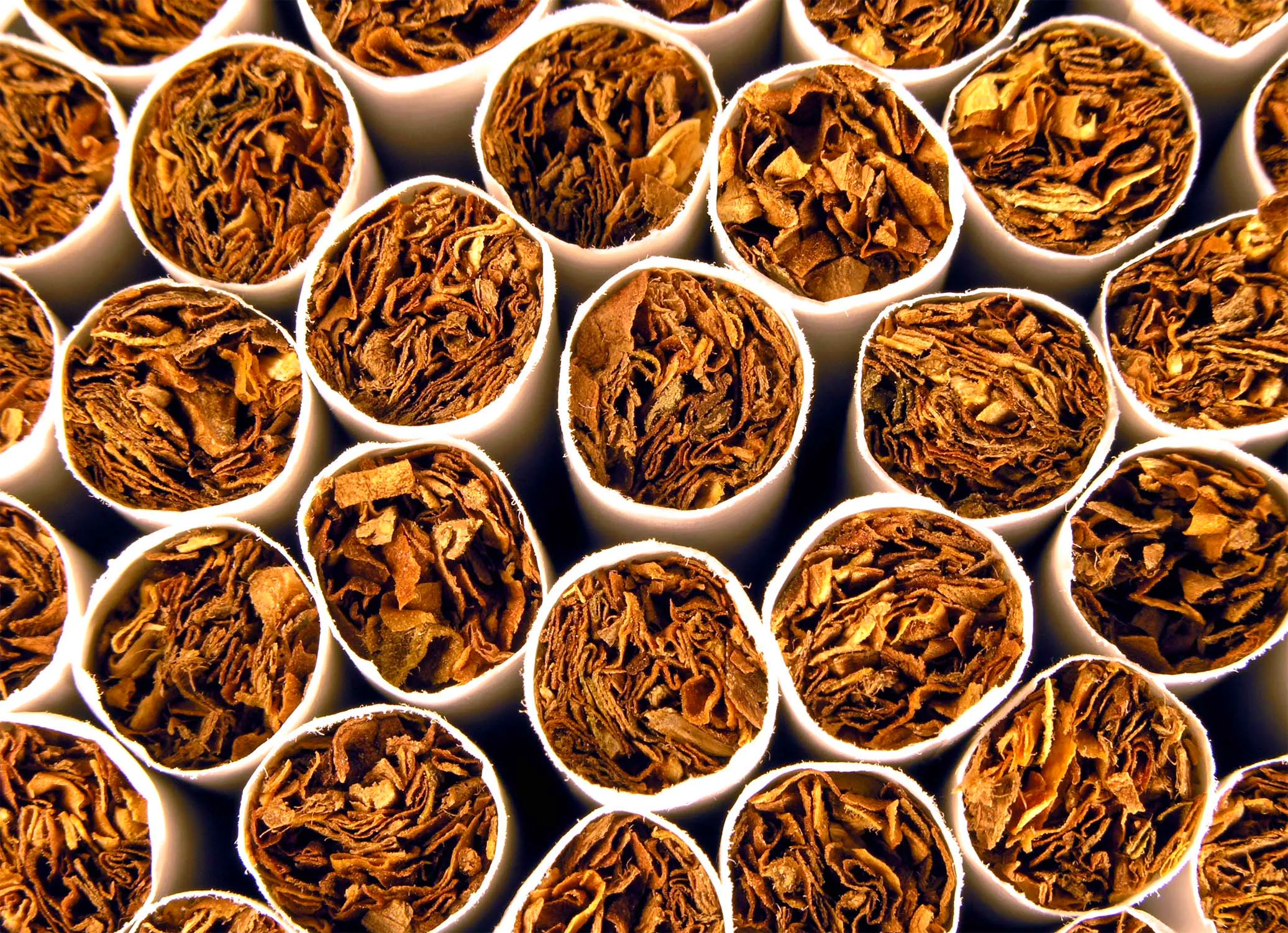 l&b tobacco 30g price Buy LB Cigars 30-30 Lancero Online & Save – Cigars Direct