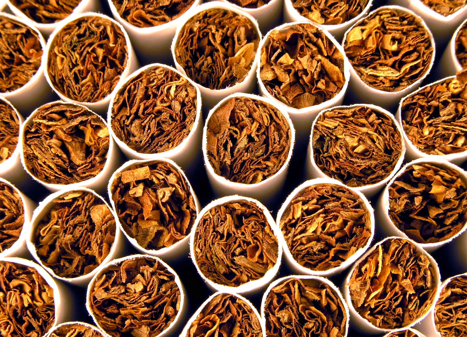 l&b tobacco 30g price Buy LB Cigars 30-30 Lancero Online & Save – Cigars Direct l&b tobacco 30g price Buy LB Cigars 30-30 Lancero Online & Save – Cigars Direct
