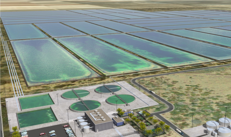 algae based carbon capture technology public companies