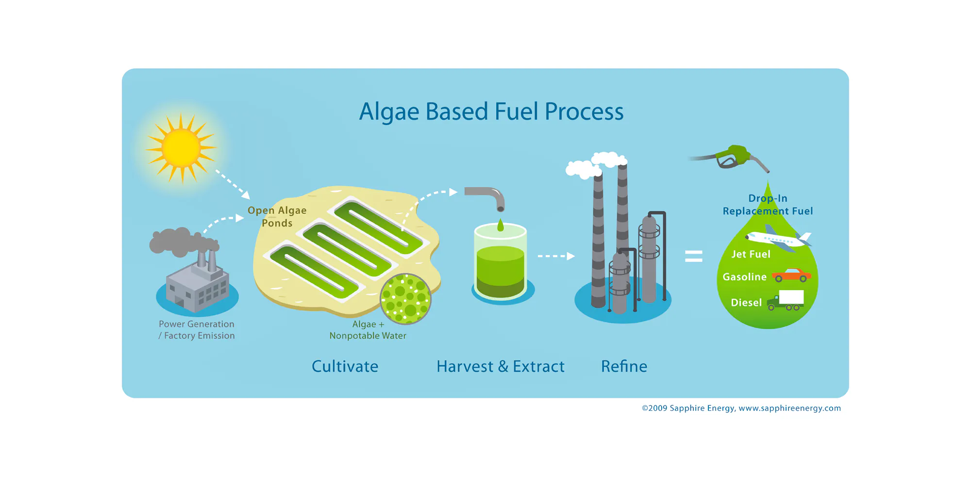 Microalgae: the superior alternative to land-based bioethanol ...