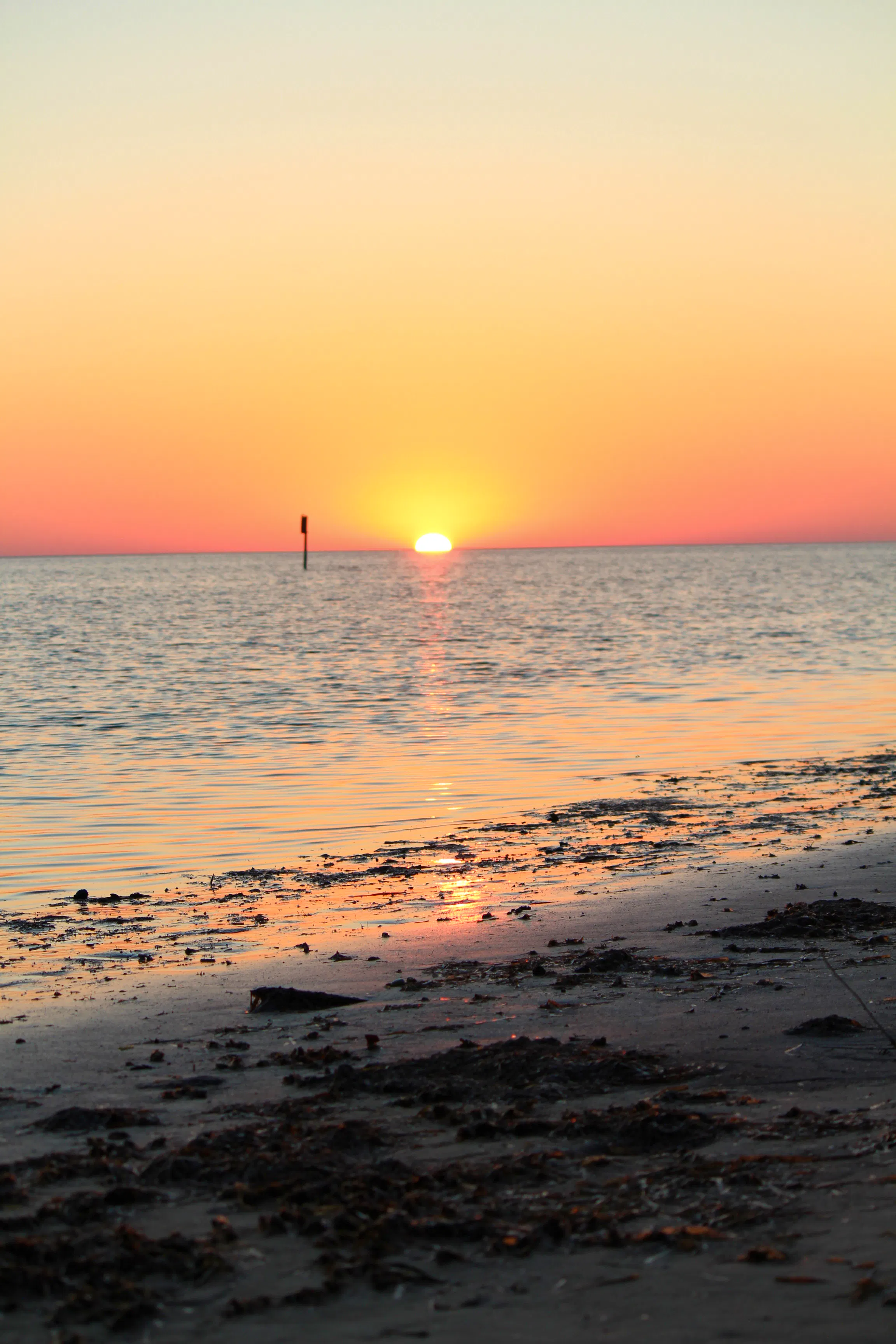 The Cedar Keys National Wildlife Refuge System — Shorthand Social