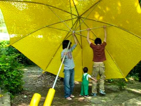 Cómo elegir el paraguas ideal — Shorthand Social