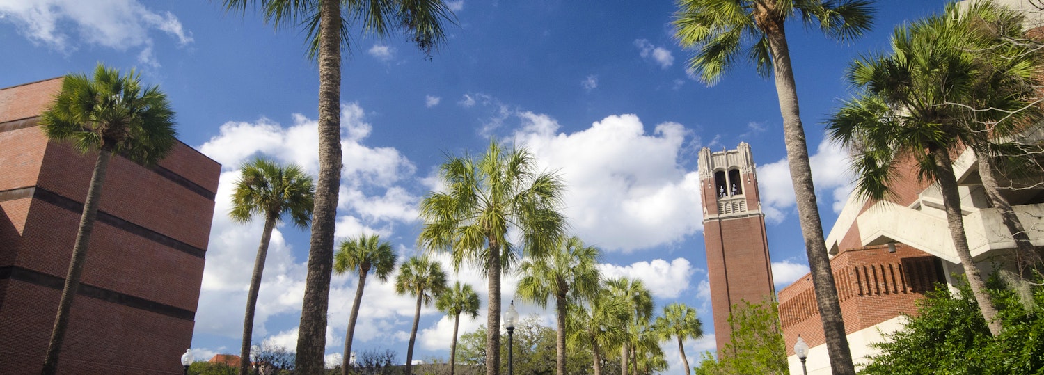 Don T Just Survive 10 Tips To Thrive During Your Freshman Year At Uf Don T Just Survive 10 Tips To Thrive During Your Freshman Year At Uf