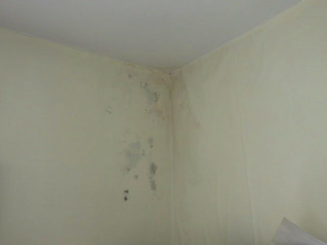 Life In A Dol House 2018 Week 24 Shorthand Social