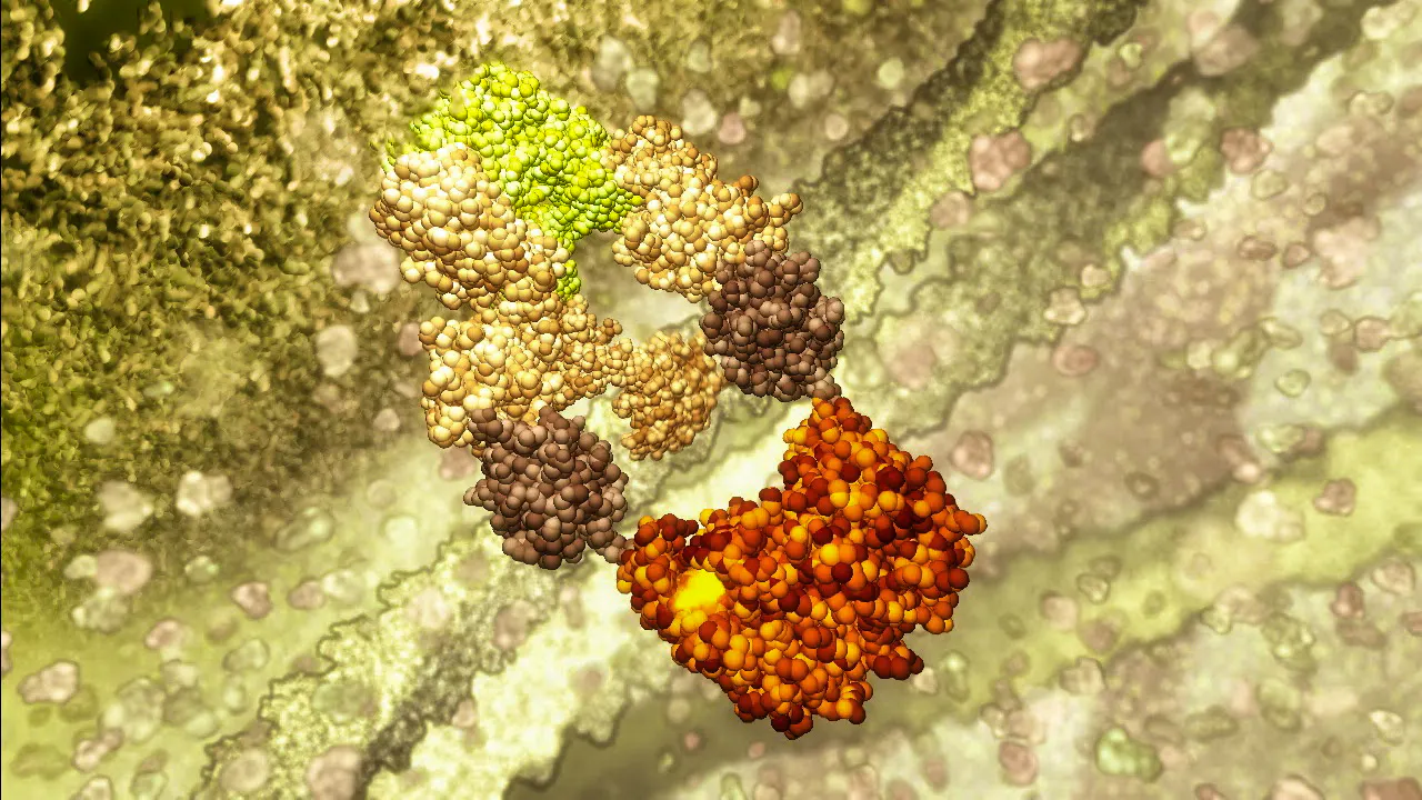 — Shorthand Social