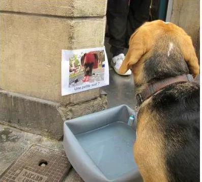 On A Teste Les Vacances A Poitiers Shorthand Social