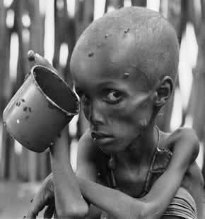 Rumbo a la Ecatombe — Shorthand Social