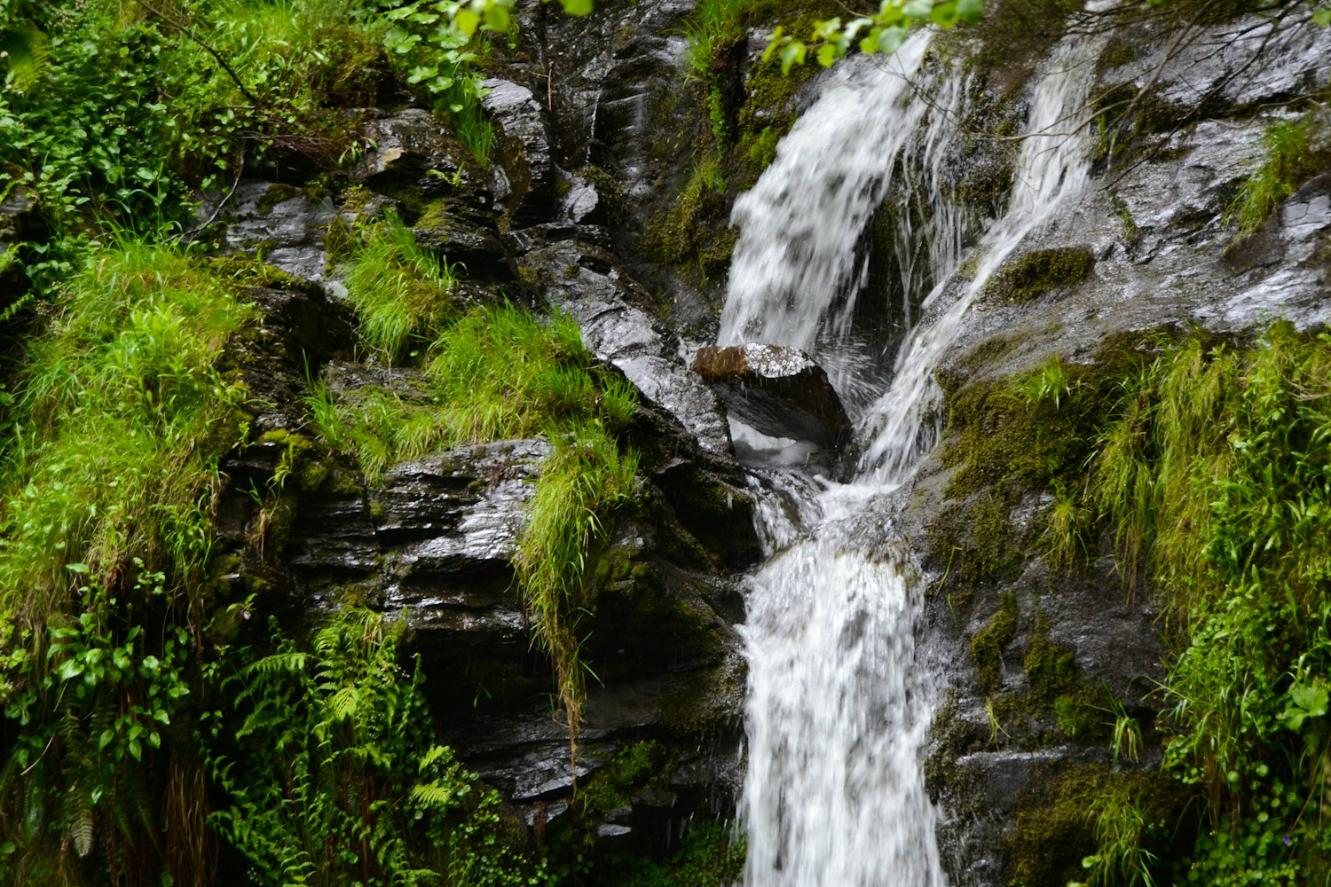 Foto de Río Selmo en Sobrado, León