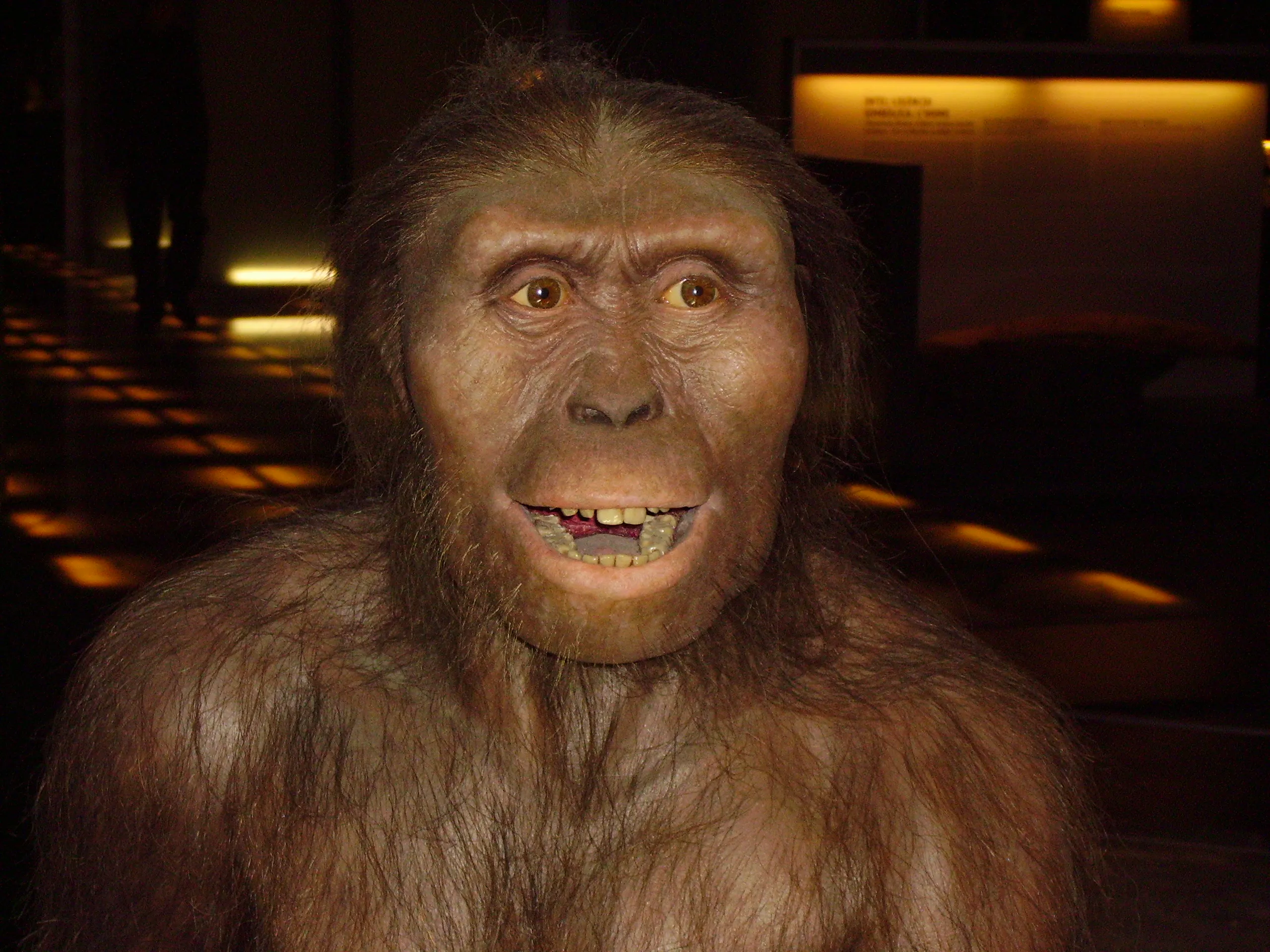 El Origen Del Planeta De Los Simios Wikipedia