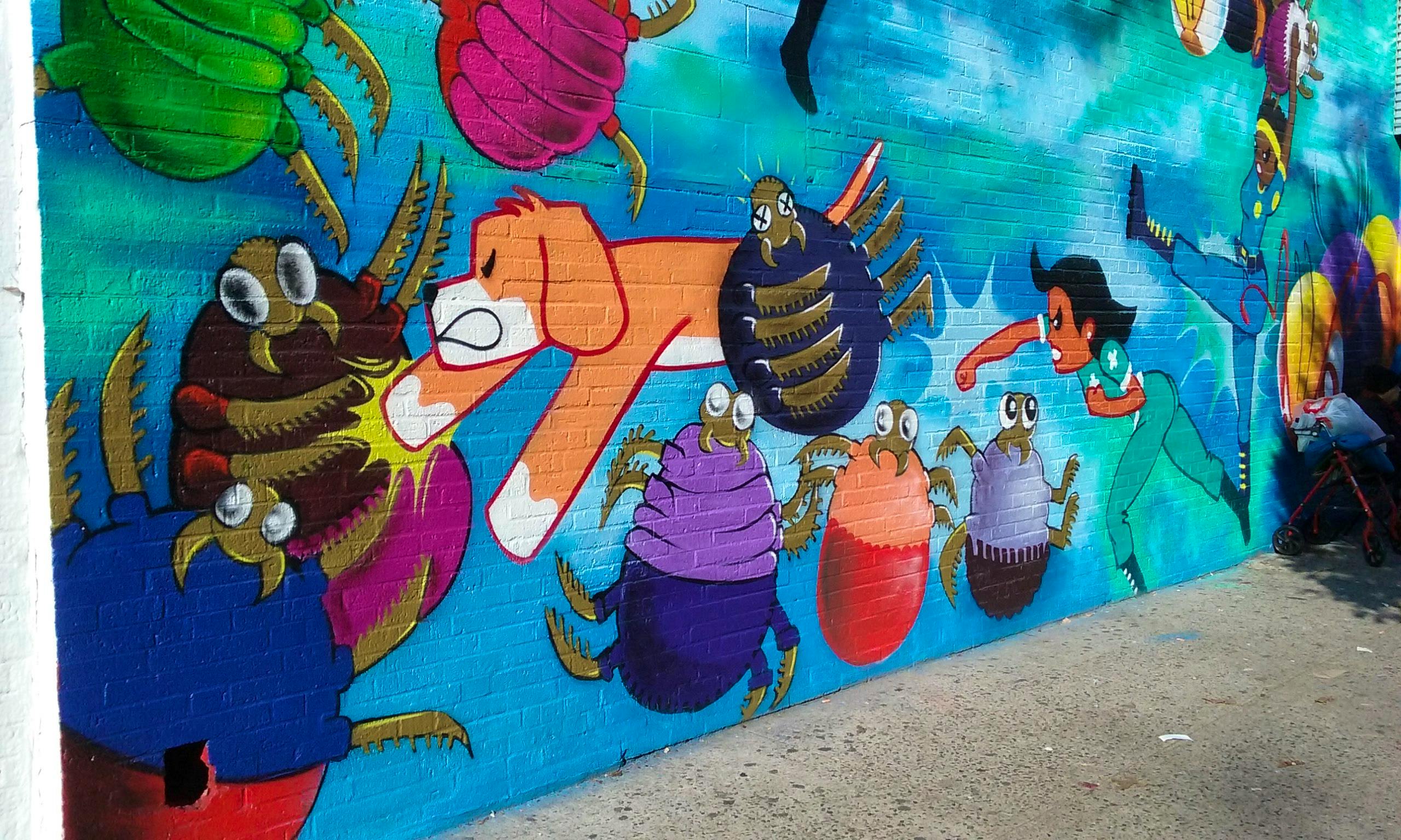 The Best Graffiti in New York City — Shorthand Social