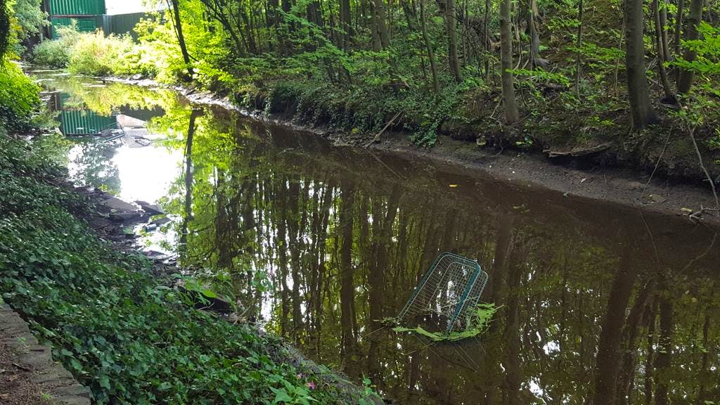 Anyone for trolley fishing? River Aire blighted — Shorthand Social