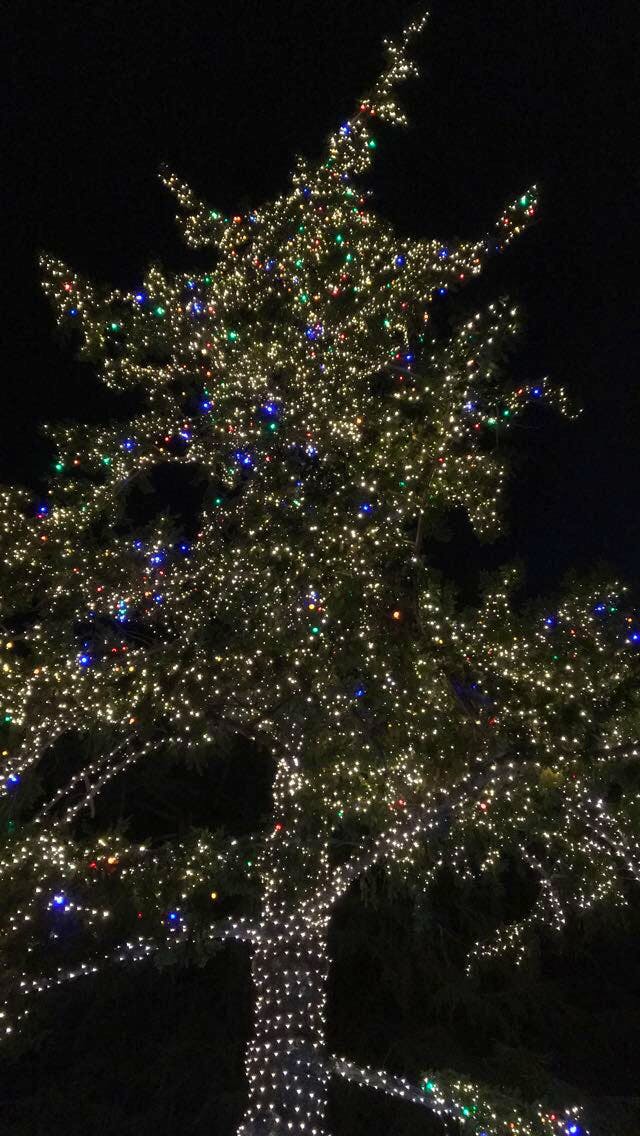 It"s lit! Menlo Park holiday tradition kicks off December — Shorthand