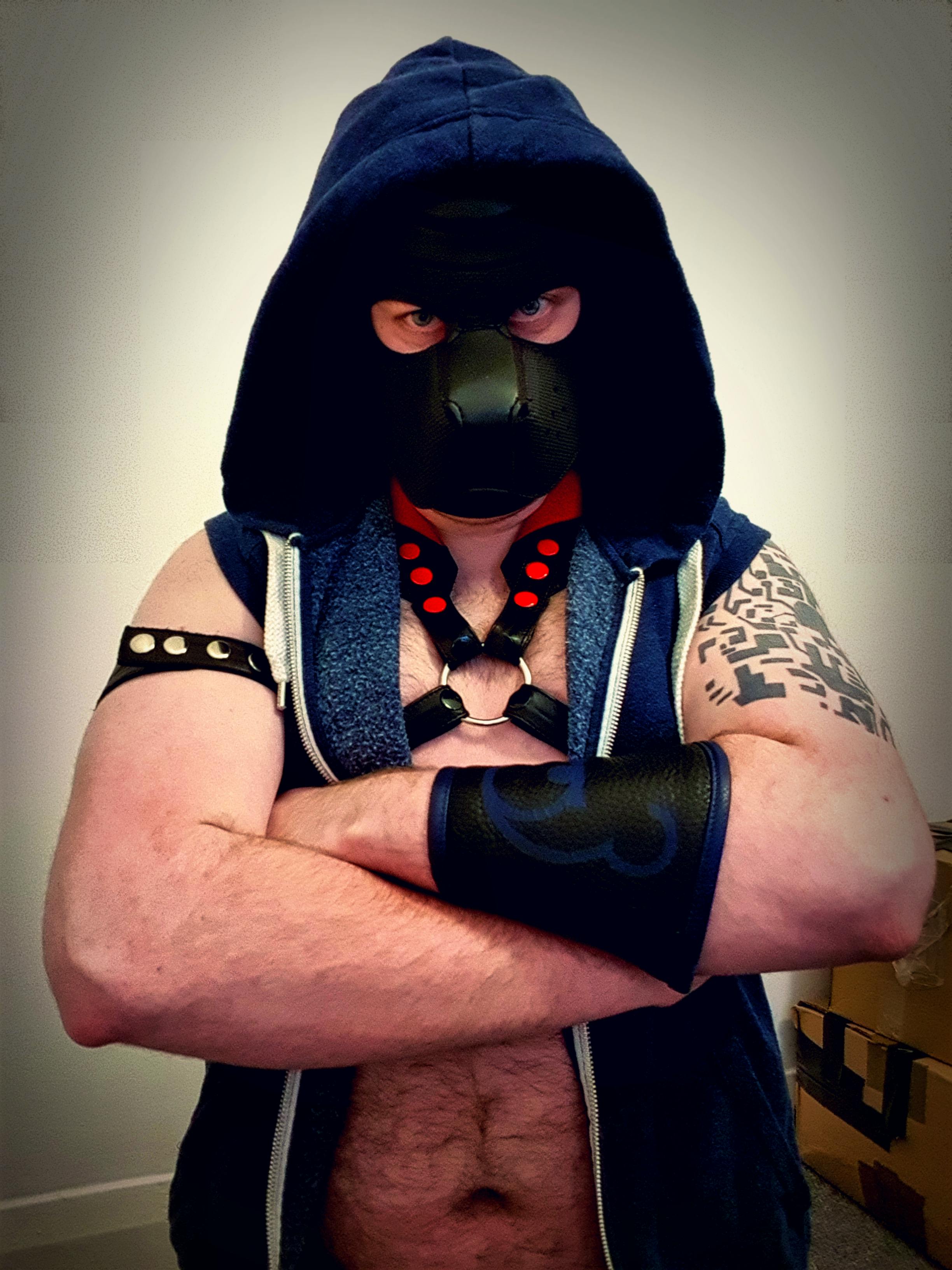 The Life of a Human Pup. — Shorthand Social