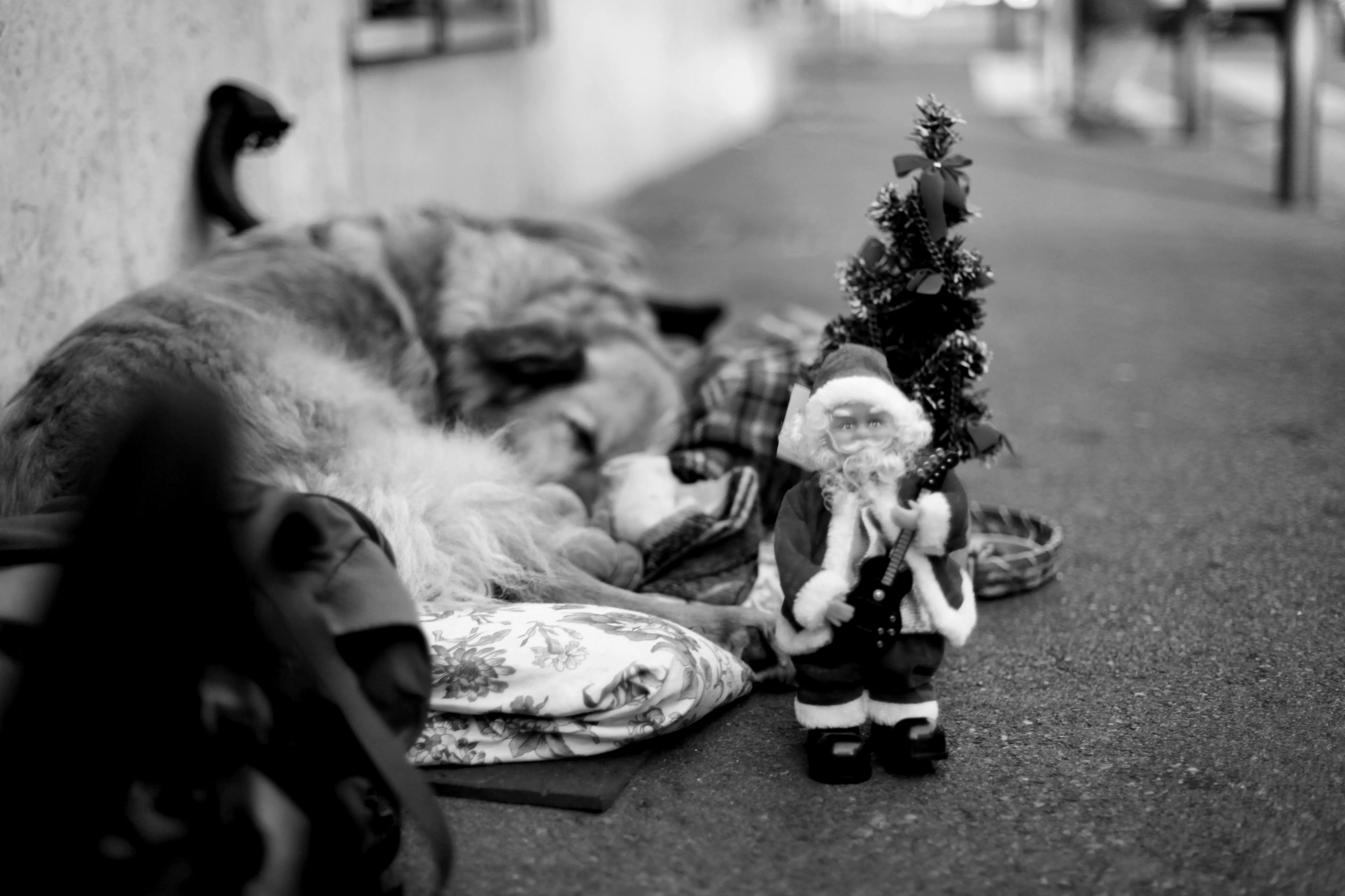 Ce Matin Dans La Rue On A Vu