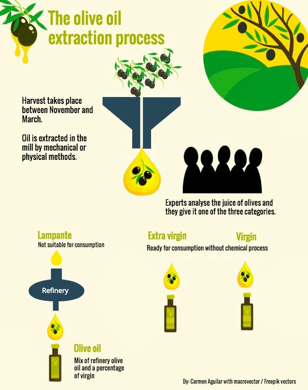 Tracking The Olive Oil Fraudsters Shorthand Social - 
